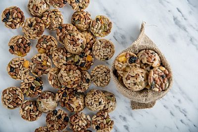 Healthy Bites